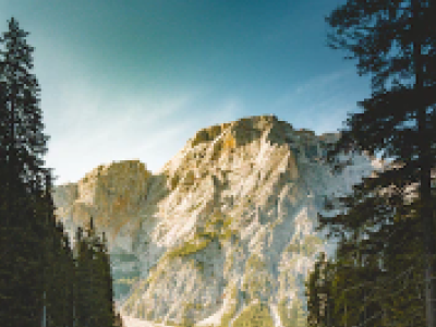 中国·9091美高梅(股份)有限公司-官方网站